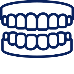 teeth