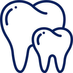 teeth